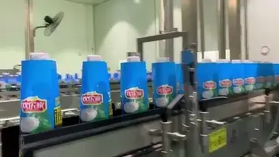 Túnel de contracción por vapor para botellas de agua de coco